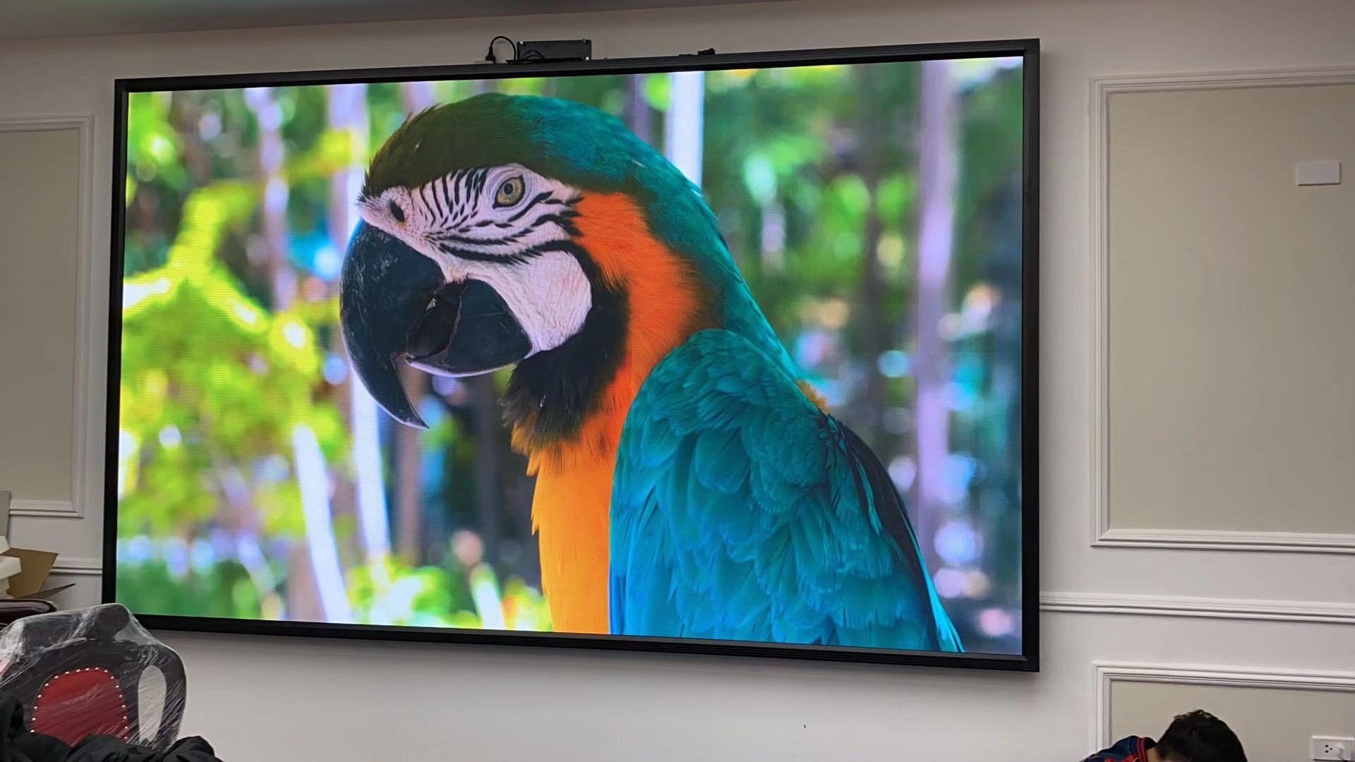 How to Select the Ideal LED Display Panel: The Ultimate Buyer’s Guide